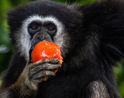 Wroclaw Zoo highlights