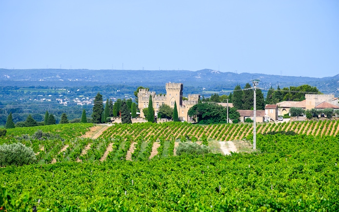 Vineyards and historic castle in Chateauneuf du Pape, France, on a sunny day.