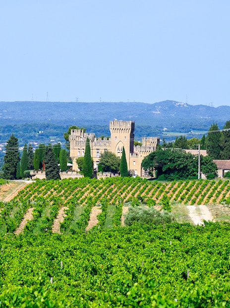 Vineyards and historic castle in Chateauneuf du Pape, France, on a sunny day.