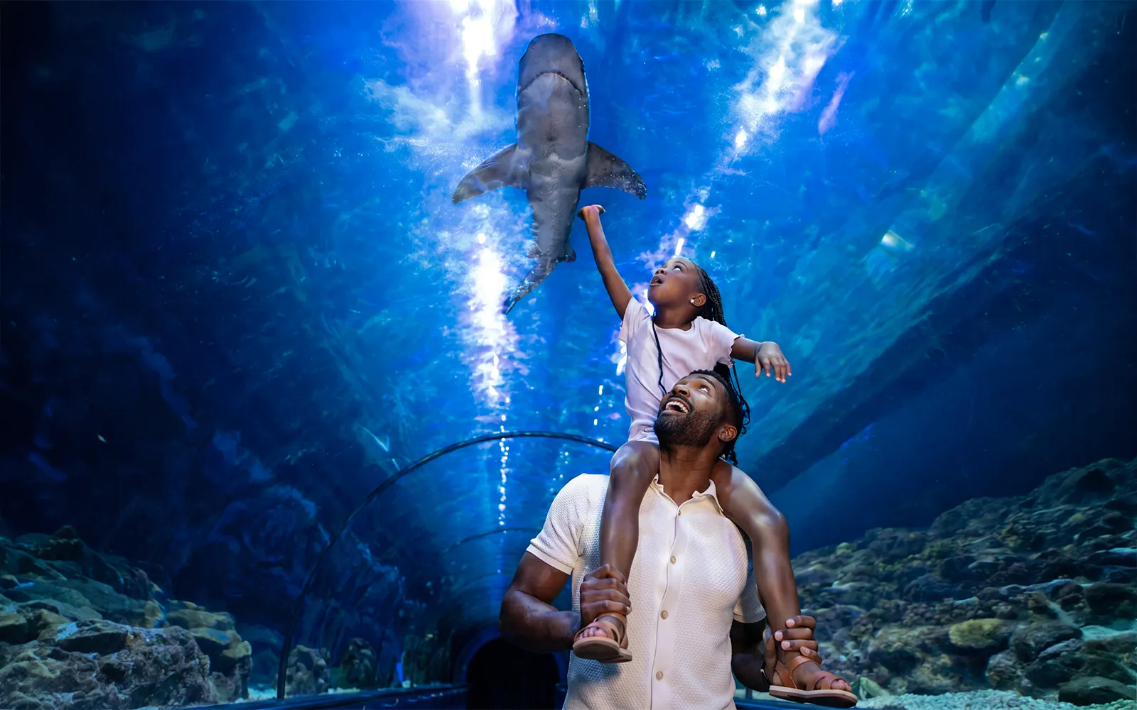 Father and child in shark tunnel at SeaWorld San Diego.