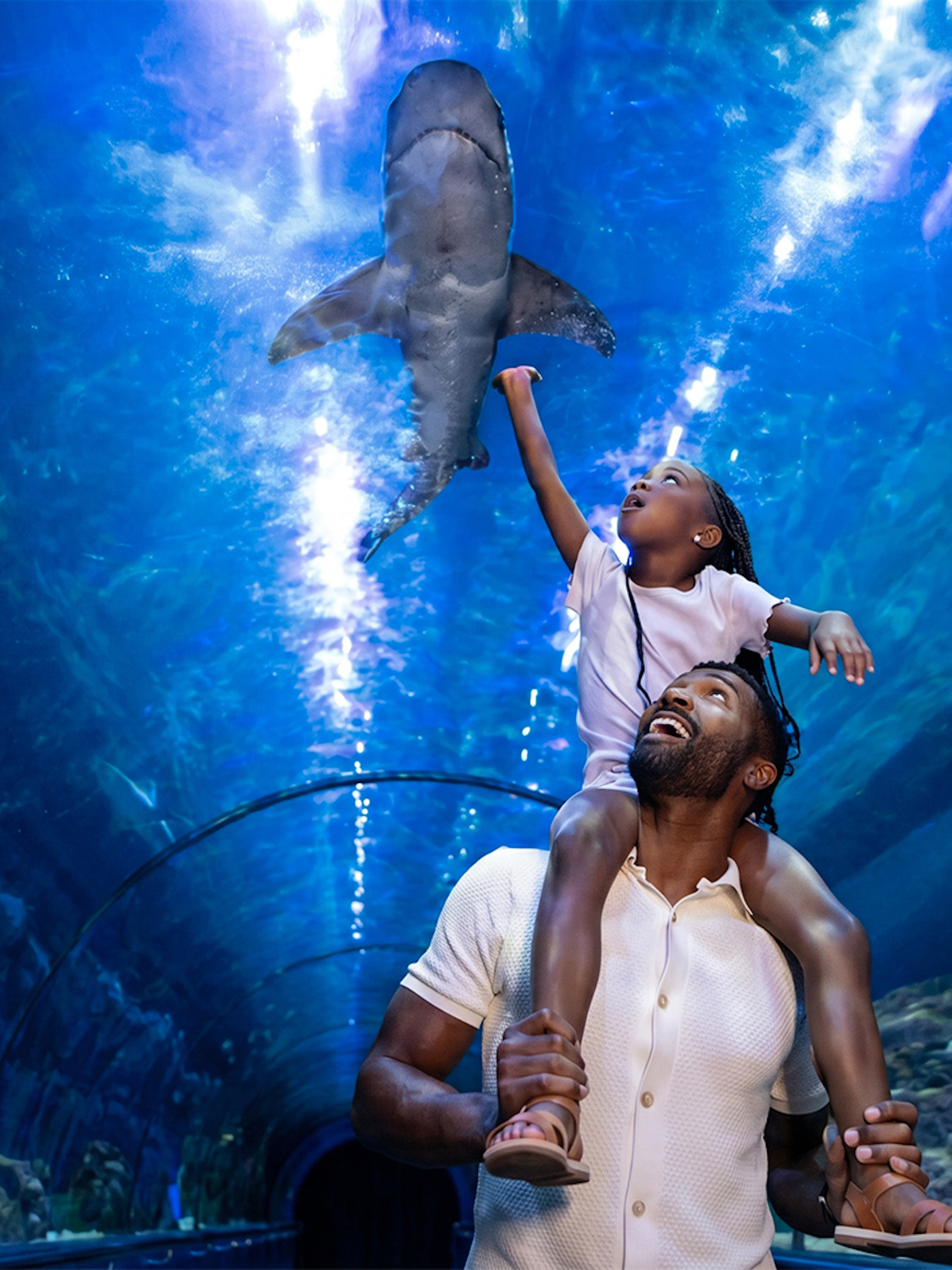 Father and child in shark tunnel at SeaWorld San Diego.