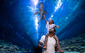 Father and child in shark tunnel at SeaWorld San Diego.