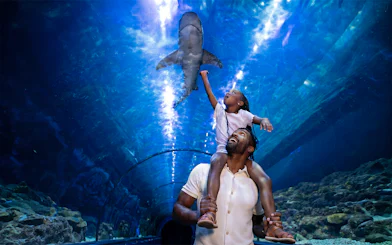 Father and child in shark tunnel at SeaWorld San Diego.