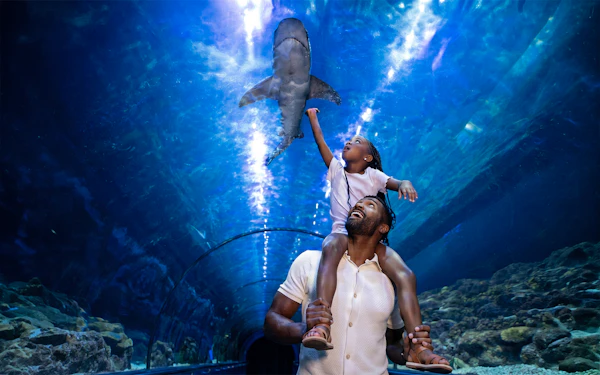 SeaWorld San Diego Annual Passes 2026