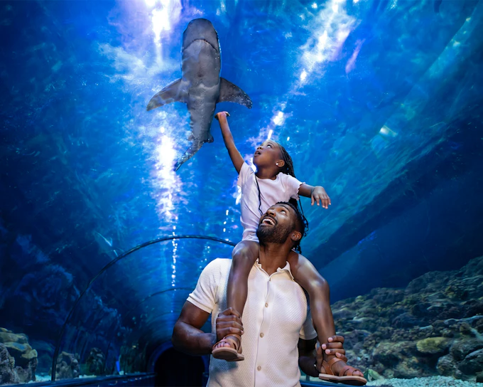 SeaWorld San Diego Annual Passes 2026