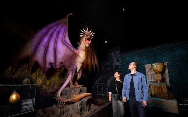 Visitors admire a dragon model at Harry Potter™: The Exhibition.