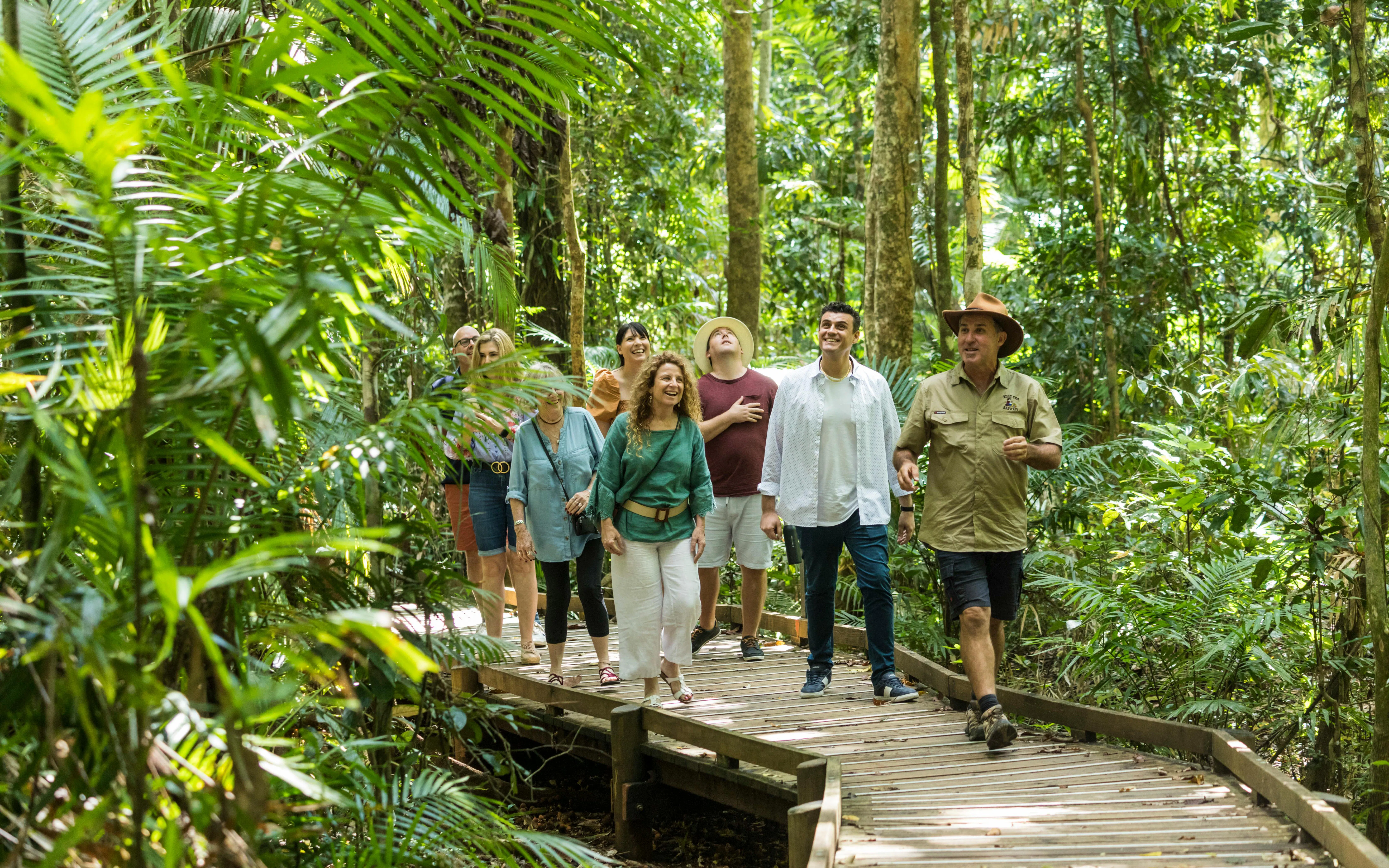 Group walking on a boardwalk through Daintree Rainforest, part of a 2-day tour from Cairns/Port Douglas.