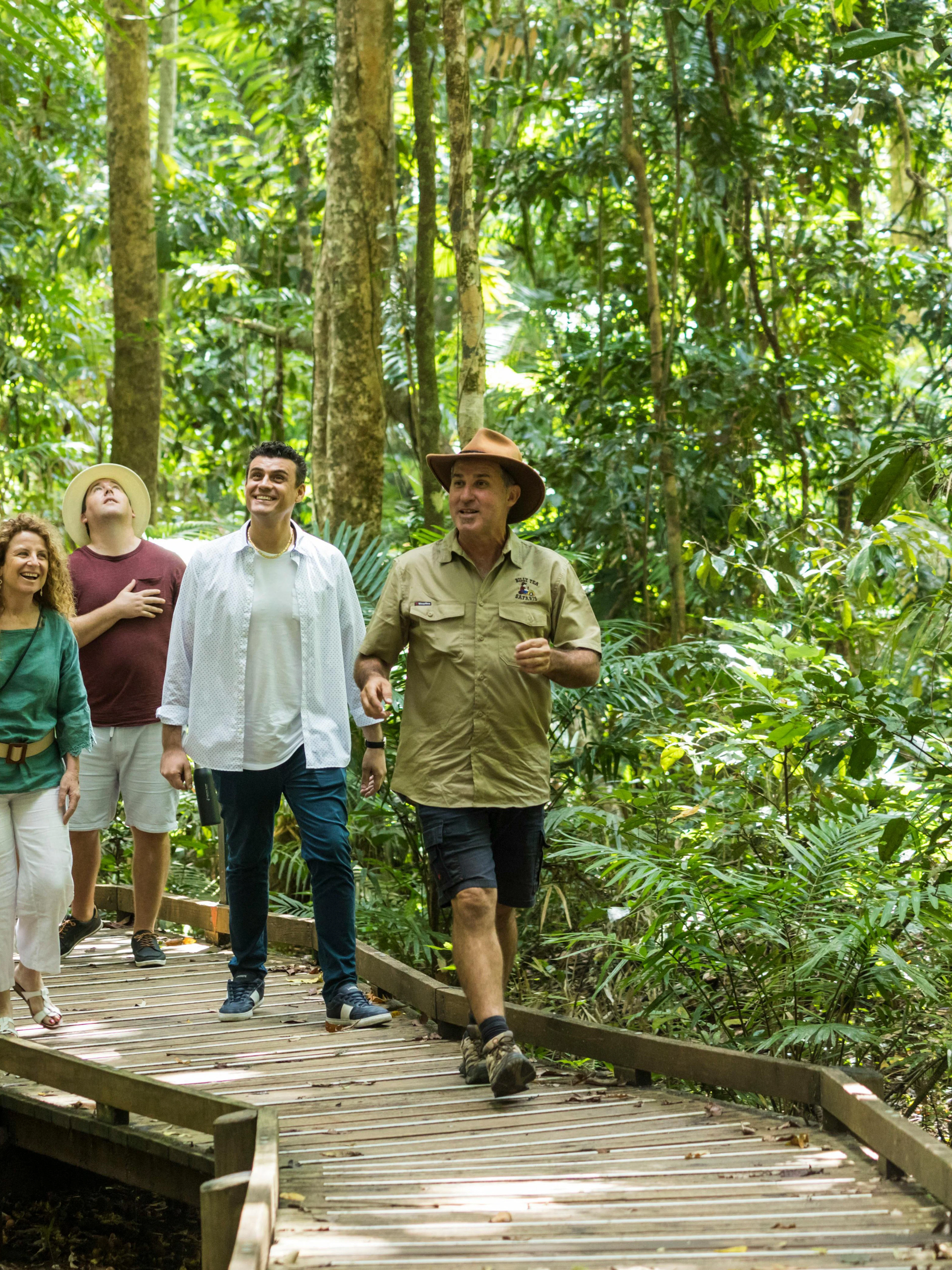 #Group walking on a boardwalk through Daintree Rainforest, part of a 2-day tour from Cairns/Port Douglas.
