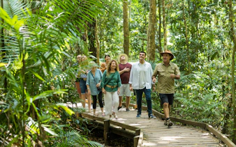 Group walking on a boardwalk through Daintree Rainforest, part of a 2-day tour from Cairns/Port Douglas.