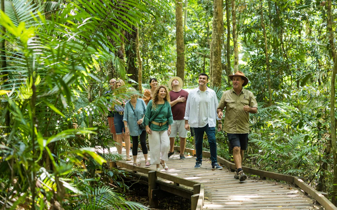 Group walking on a boardwalk through Daintree Rainforest, part of a 2-day tour from Cairns/Port Douglas.