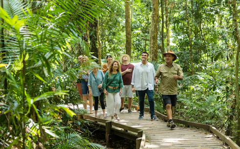 Group walking on a boardwalk through Daintree Rainforest, part of a 2-day tour from Cairns/Port Douglas.
