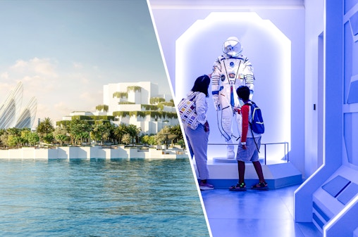 Combo (Save 14%): Doğa Tarihi Müzesi + Louvre Abu Dabi Biletleri