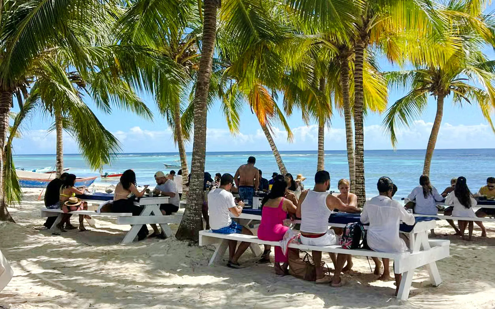Guests enjoying a meal under palm trees on Saona Island beach during the platinum tour.