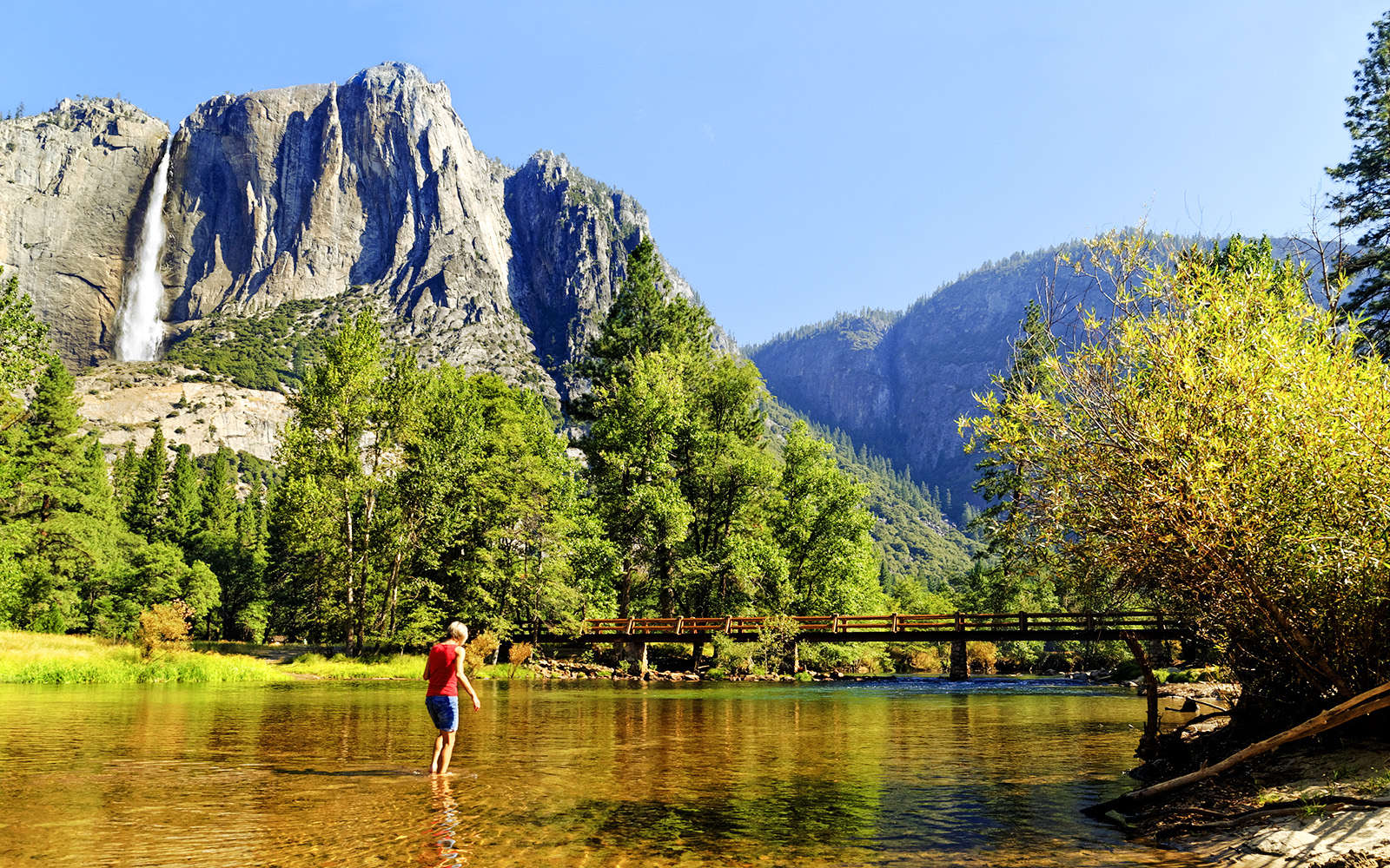 Person wading in Merced River with Yosemite Falls in background, Yosemite National Park, California.