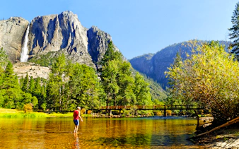 Person wading in Merced River with Yosemite Falls in background, Yosemite National Park, California.