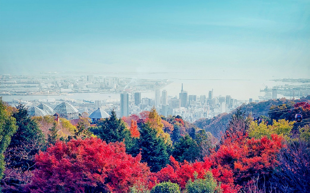 Kobe cityscape view from Nunobiki Herb Gardens with colorful autumn foliage and ropeway.