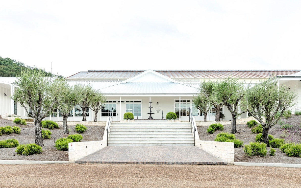 Winery entrance with olive trees in Hunter Valley, Australia.