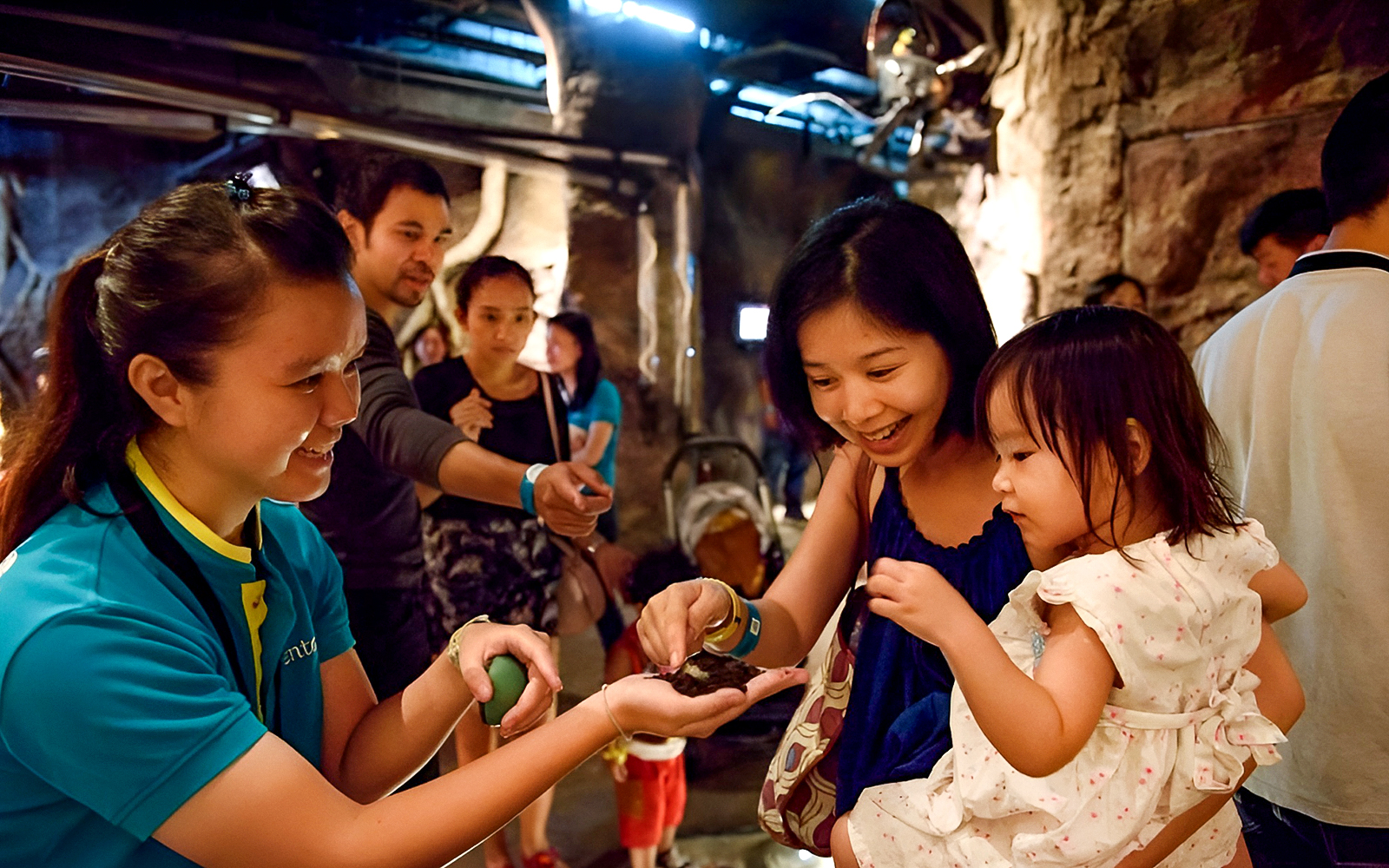 Guests interacting with butterflies at Entopia by Penang Butterfly Farm.