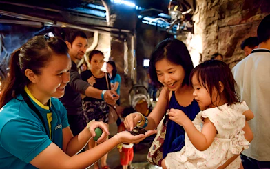 Guests interacting with butterflies at Entopia by Penang Butterfly Farm.