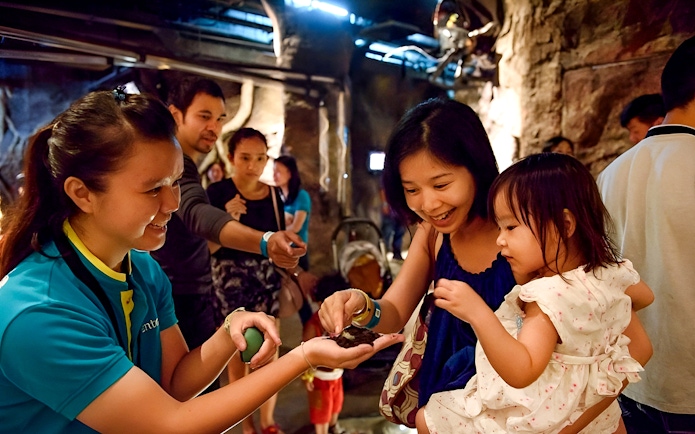 Guests interacting with butterflies at Entopia by Penang Butterfly Farm.