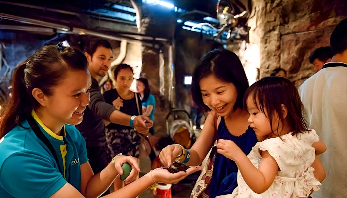 Guests observing butterflies and flora inside Entopia by Penang Butterfly Farm, Malaysia.