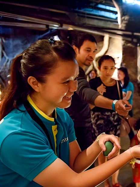 Guests interacting with butterflies at Entopia by Penang Butterfly Farm.