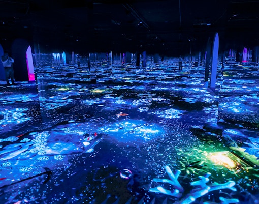 Immersive light display at Bubble Planet exhibit, Washington DC.