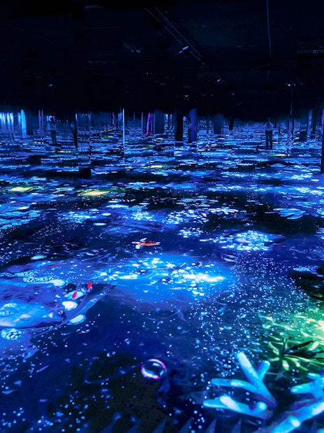 Immersive light display at Bubble Planet exhibit, Washington DC.