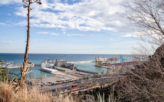 View of Barcelona's port from Montjuïc during a guided walking tour.