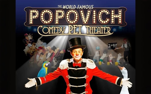 Popovich Comedy Pet Theater