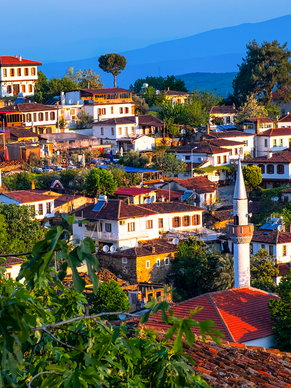Passeios pela cidade de Éfeso e Sirince