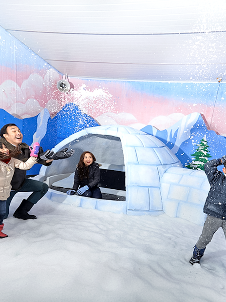 Guests playing in snow inside Singapore Snow City with igloo and mural backdrop.
