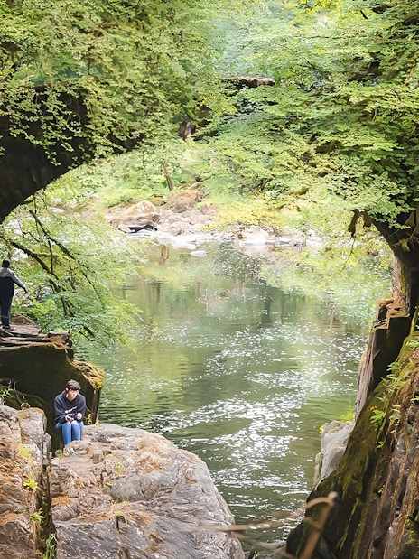 Visitors exploring a lush green gorge with a river on the Whisky & Waterfalls Day Tour from Edinburgh.