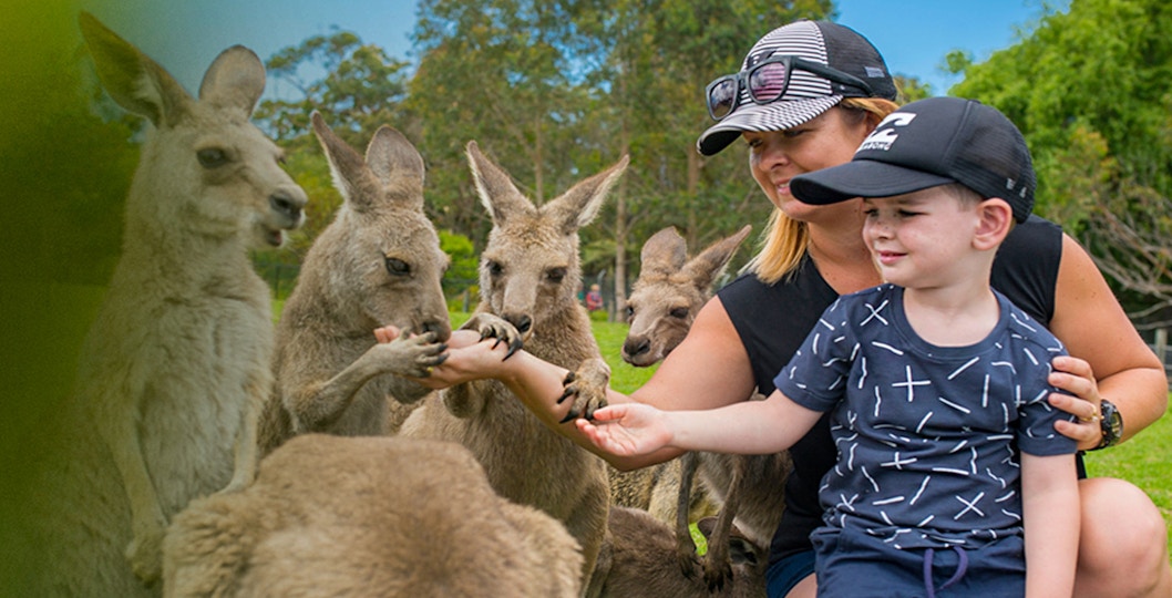 Book Symbio Wildlife Park Tickets | Best Deals & Offers