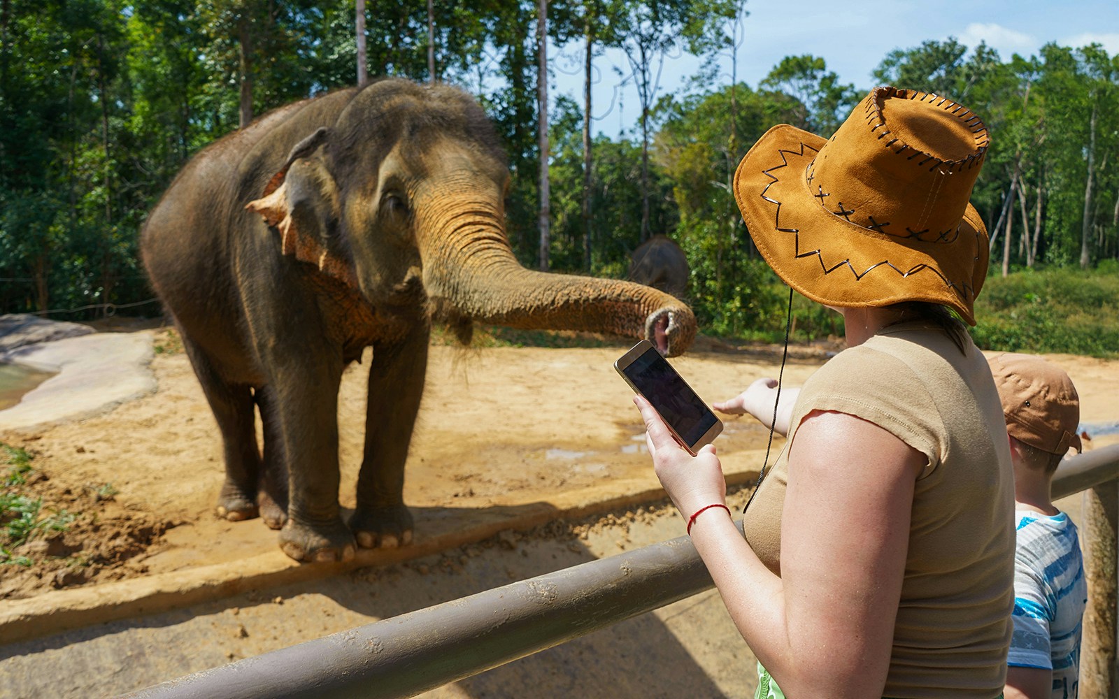 Woman feeding elephant at Vinpearl Safari, Phu Quoc, Vietnam.