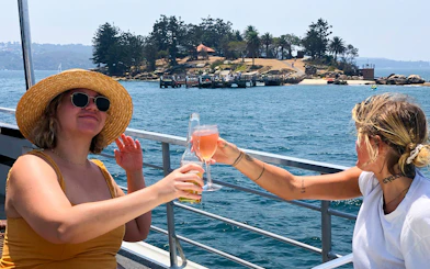 People toasting drinks on a Sydney Harbour sightseeing cruise with island view.