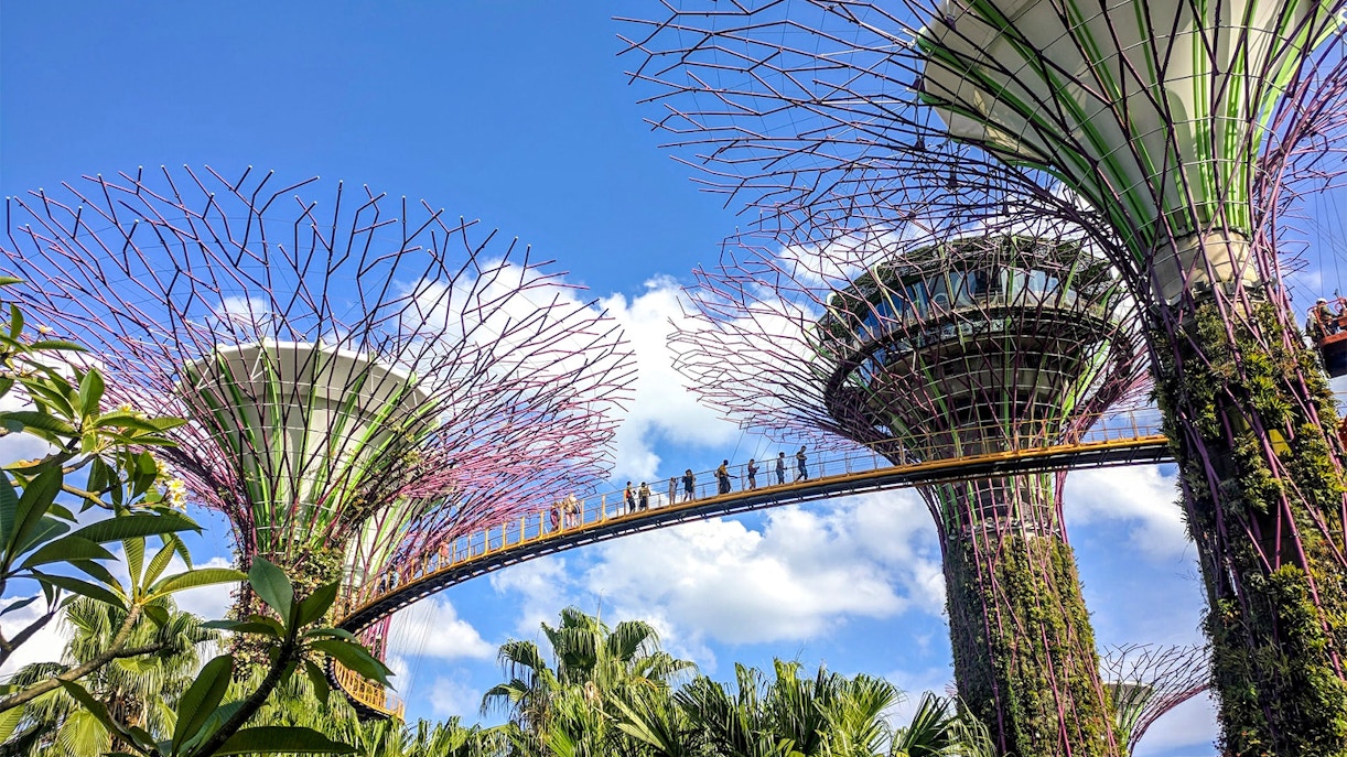 Floral Fantasy Singapore - Nearby Attractions