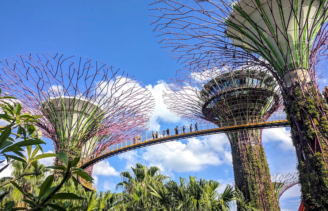 Supertree Grove opening hours