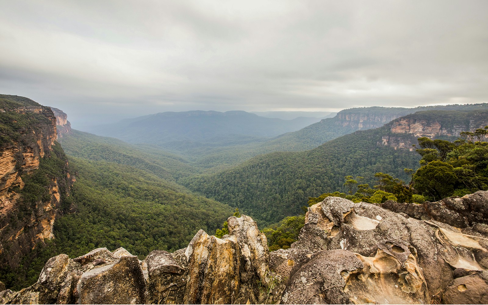 Scenic World tickets