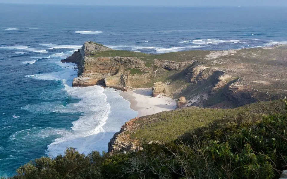 Cape Peninsula Guided Tour with Chapman's Peak, Penguins, and Seals Image 8