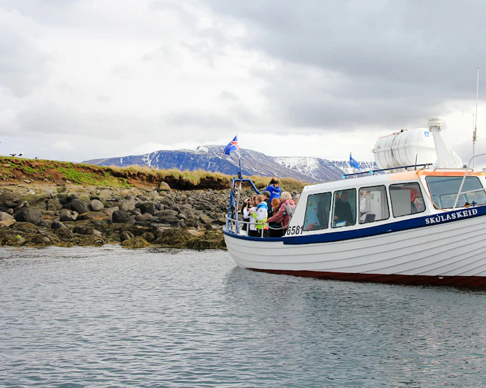 Reykjavik: Whales & Puffins Express Cruise Combo Tour