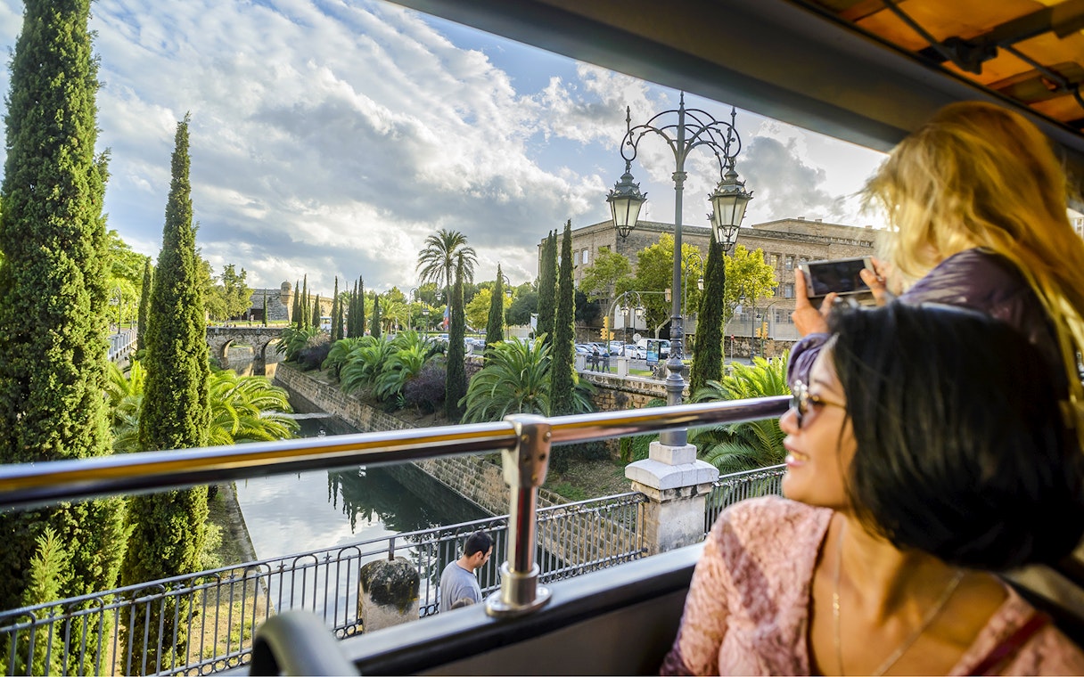 Lady enjoying view from 24-hour hop-on hop-off bus in scenic city landscape.