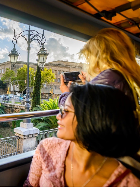 Lady enjoying view from 24-hour hop-on hop-off bus in scenic city landscape.