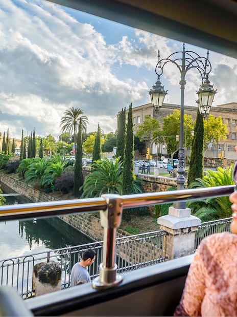 Lady enjoying view from 24-hour hop-on hop-off bus in scenic city landscape.