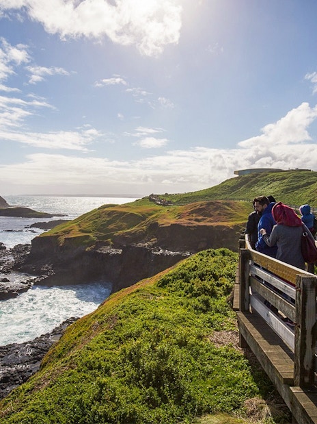 Visitors walking along Nobbies Lookout boardwalk with ocean and coastal views, Phillip Island.