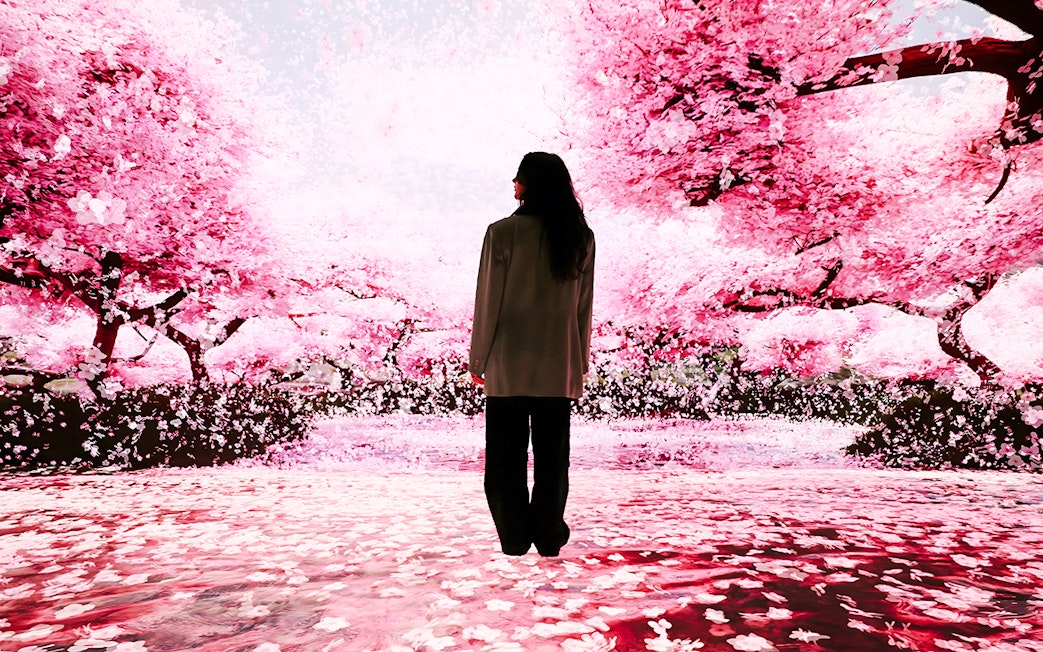 Person standing in immersive cherry blossom exhibit at Mercer Labs: Museum Of Art & Technology.