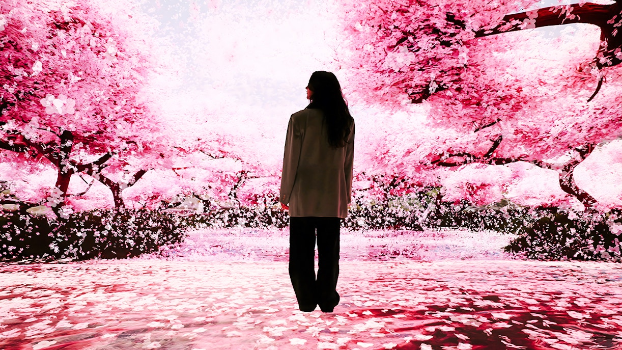 Person standing in immersive cherry blossom exhibit at Mercer Labs: Museum Of Art & Technology.
