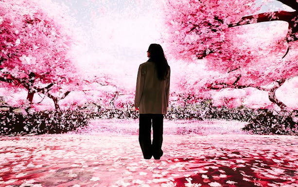 Person standing in immersive cherry blossom exhibit at Mercer Labs: Museum Of Art & Technology.