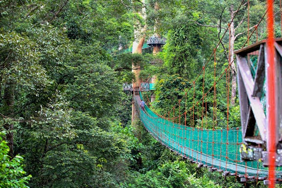 mount kinabalu 4-in-1 guided day tour with lunch-9