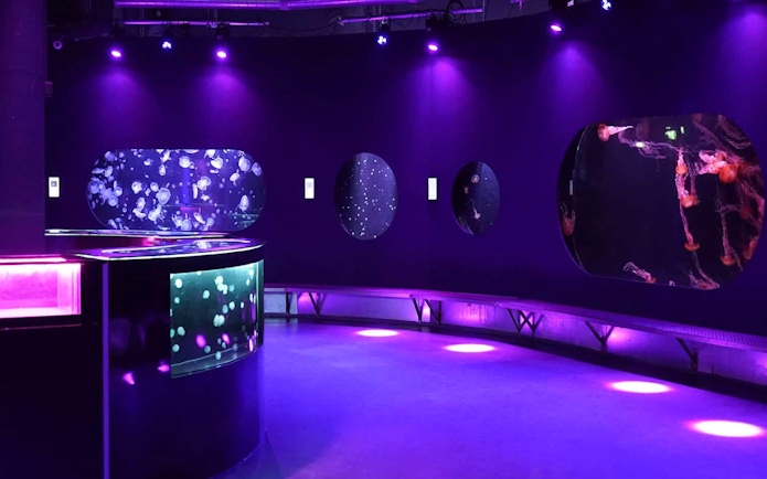 Visitors observing jellyfish at the Medusarium in Aquarium de Paris, France.
